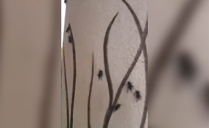 מתקפת חרקים בסעודיה (צילום: חדשות)