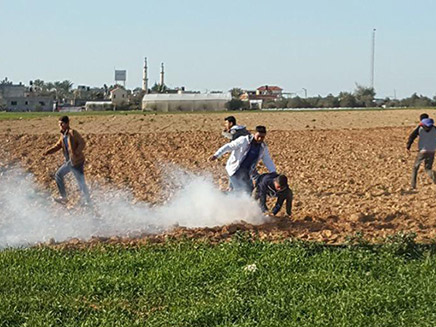 מפריחים בלונים ומיידים אבנים (צילום: צילומים פלסטיניים, חדשות)