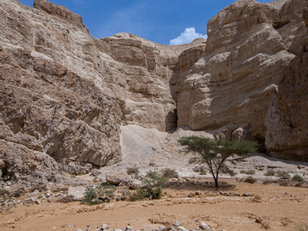 נחל זוהר, ארכיון (צילום: מאור קינסברסקי, פלאש 90, חדשות)