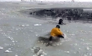 זחל על הקרח וחילץ כלב שנלכד. צפו (צילום: Sky News, חדשות)