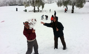 מקווים לעוד קרבות כדורי שלג בגן סאקר (צילום: אלעד זוהר, חדשות)
