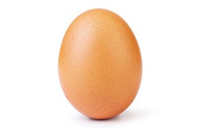 ביצה מאינסטגרם