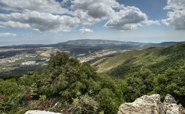 עירית גדולה (צילום: ידין גלעדי​)