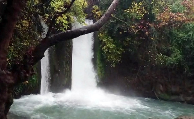 זרימה חזקה בבניאס (צילום: רשות הטבע והגנים, חדשות)