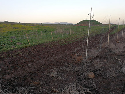 הרסו 350 מטרים של גדר (צילום: חדשות)