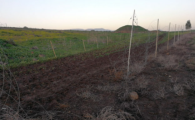 הרסו 350 מטרים של גדר (צילום: חדשות)