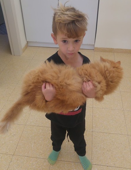 ניצן מחזיק חתול (צילום: צילום פרטי)