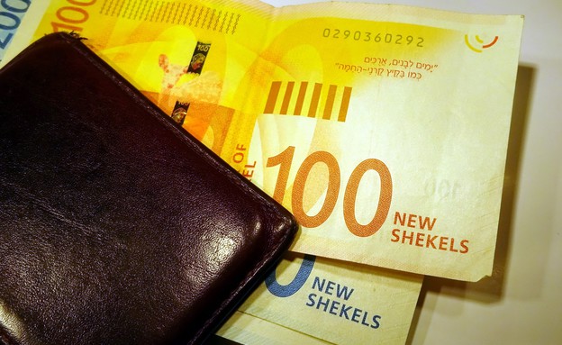 ארנק עם כסף (צילום: Zilan2000, shutterstock)