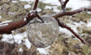 תפוח קרח (צילום: Andrew Sietsema, פייסבוק\‏‎Meteorologist Tyler Sebree, )