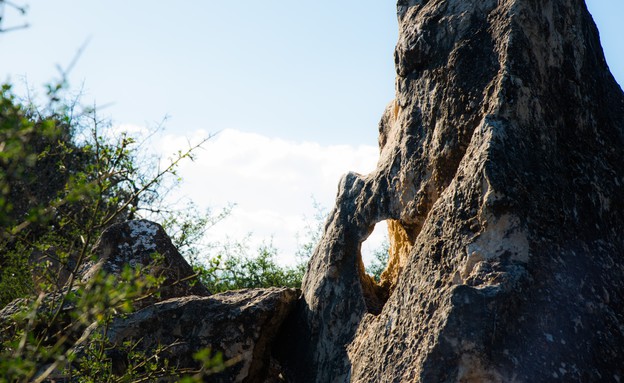 סלעים בנקיק (צילום: לימור הולץ)