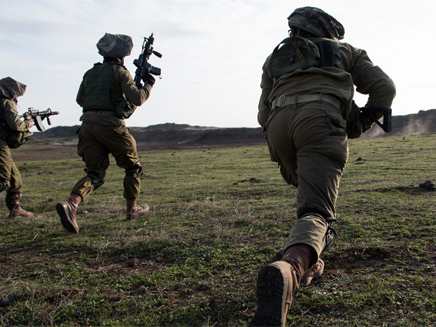 לוחם נפצע בינוני בתאונת אימונים (צילום: דו