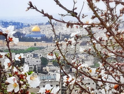 גן לאומי עמק צורים (צילום: יניב כהן, רשות הטבע והגנים)