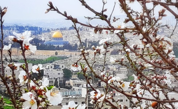 גן לאומי עמק צורים (צילום: יניב כהן, רשות הטבע והגנים)