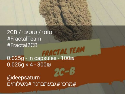 צילום מסך מתוך טלגראס כולל מחירים (צילום: צילום מסך מתוך טלגראס)