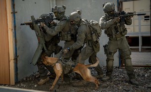 הכלב רמבו (צילום: מג"ב, חטיבת דוברות משטרת ישראל)