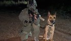 הכלב זילי (צילום: דוברות משטרת ישראל)