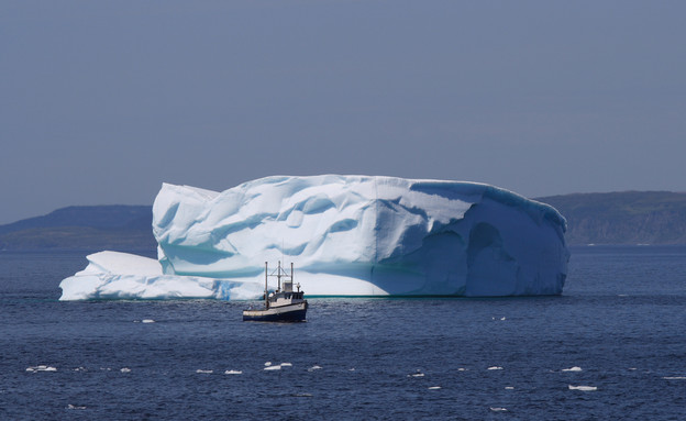 קרחון בלב ים (צילום: wildestanimal | Shutterstock)