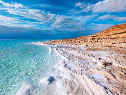 Dead Sea coastline (צילום: Booking.com)