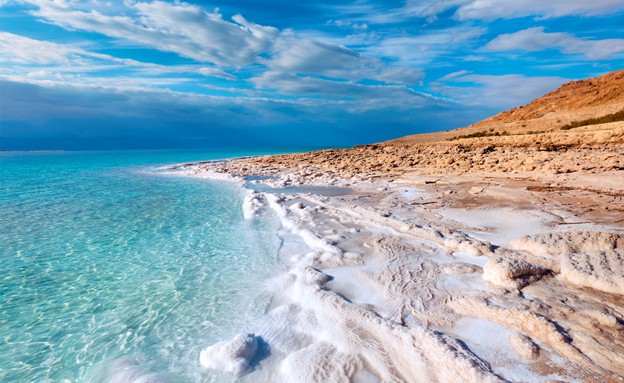 Dead Sea coastline (צילום: Booking.com)
