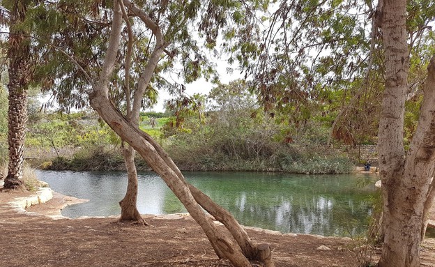 בריכת נחל שוקק (צילום: שירה סגל בורוכוב)