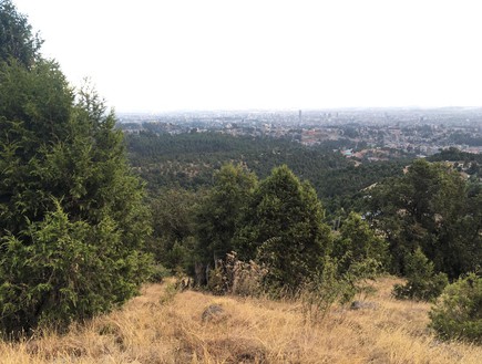 טיול בגן הבוטני באדיס אבבה (צילום: מערכת mako חופש)