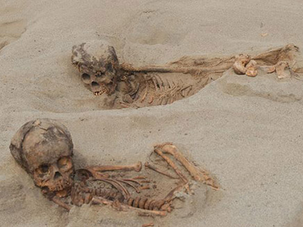 שרידי שלדים של ילדים שנמצאו באתר ארכאולוגי בפר (צילום: CNN, חדשות)