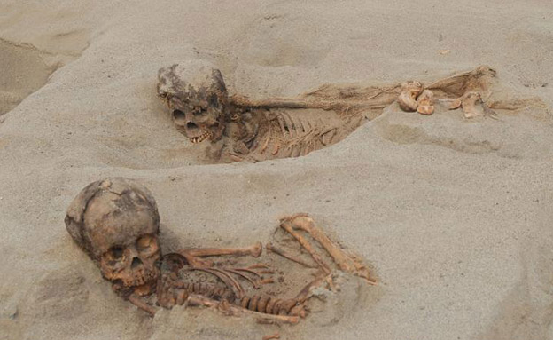שרידי שלדים של ילדים שנמצאו באתר ארכאולוגי בפר (צילום: CNN, חדשות)