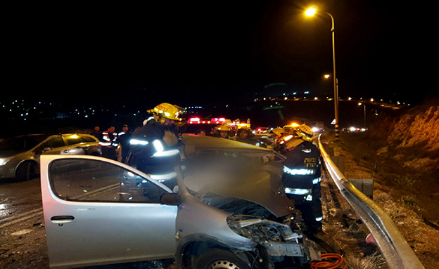 תאונה קטלנית בכביש 446 (צילום: TPS, חדשות)