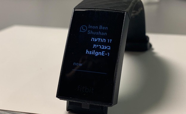 FitBit Charge 3  (צילום: NEXTER)