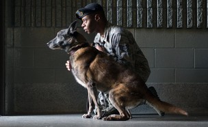 הכלבה הכי פזמניקית (צילום: Justin Connaher@Us Air Force)