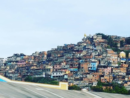 ברזיל (צילום: צליל הופמן)