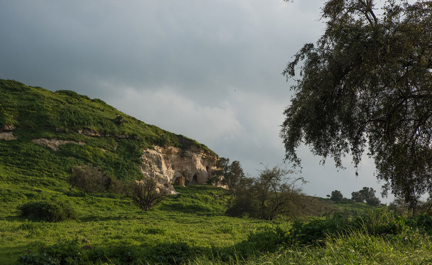 המערות של תל צפית (צילום: לימור הולץ)