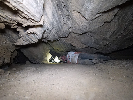 50 אנשי צוות עבדו על חשיפת המערה (צילום: האוניברסיטה העברית, חדשות)