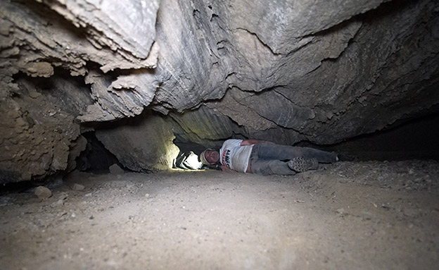 50 אנשי צוות עבדו על חשיפת המערה (צילום: האוניברסיטה העברית, חדשות)