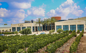 יקב ברקן (צילום: אלירן אביטל, יחסי ציבור)