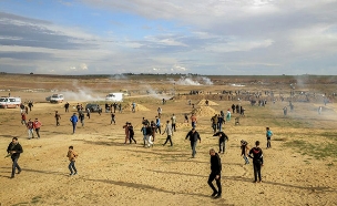 הפגנות בגבול בעזה (צילום: ללא, חדשות)