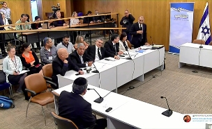 הדיון בוועדת הכנסת (צילום: ערוץ הכנסת‎, חדשות)