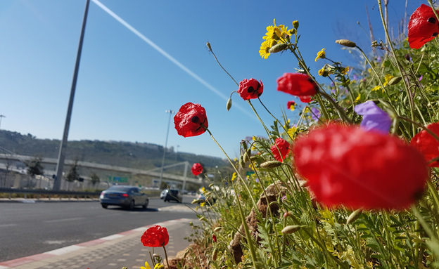 סוף השבוע יהיה נוח (צילום: שני הלר, חדשות)