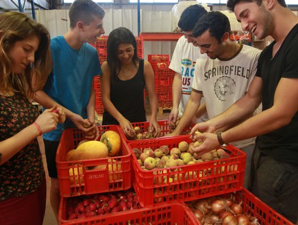 מתנדבים במרכז הלוגיסטי של לקט ממיינים פירות וירקות (צילום: מאגר לקט ישראל)