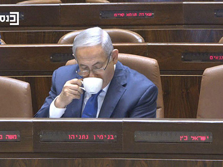 ראש הממשלה בנימין נתניהו (צילום: ערוץ הכנסת, חדשות)