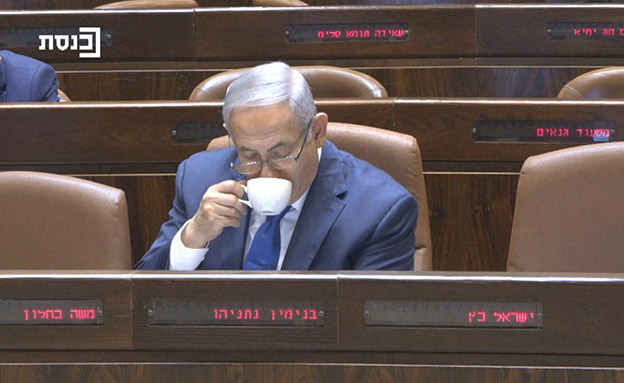 ראש הממשלה בנימין נתניהו (צילום: ערוץ הכנסת, חדשות)