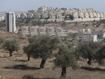 הר חומה בירושלים (צילום: אוליבייה פיטוסי, TheMarker)