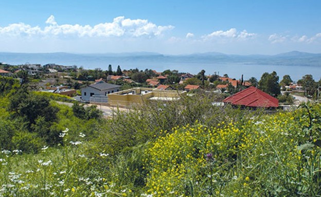 מושב רמות (צילום: אייל מרגולין, גלובס)