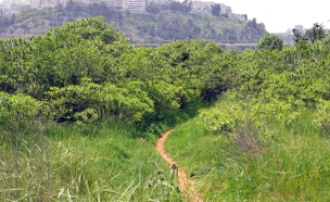 התחזית לחג: יומיים קרים ואז - שרב (צילום: חדשות 2)