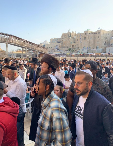 טייגה מבלה בירושלים, אפריל 2019 (צילום: פול סגל)