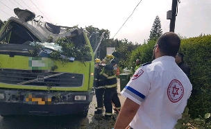 רוכב אופנוע ונהג משאית נפגעו (צילום: מוחמד ושאח דוברות מד"א, חדשות)