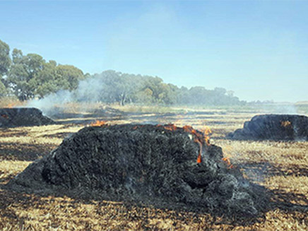 שרפות בעוטף עזה (צילום: ביטחון שער הנגב, חדשות)