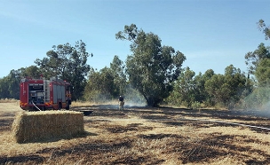 שריפה בשער הנגב בגלל בלוני תבערה (צילום: ביטחון שער הנגב, חדשות)