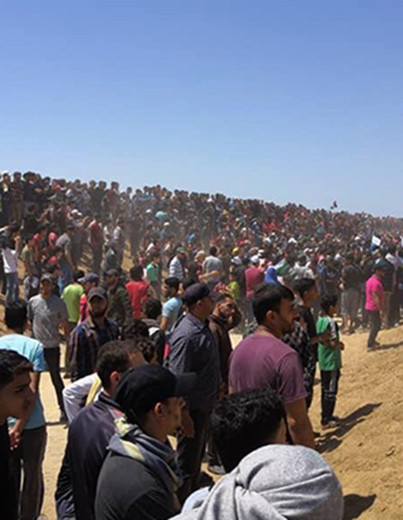 אלפים הגיעו, הפלסטינים מדווחים על הרוג (צילום: חדשות)