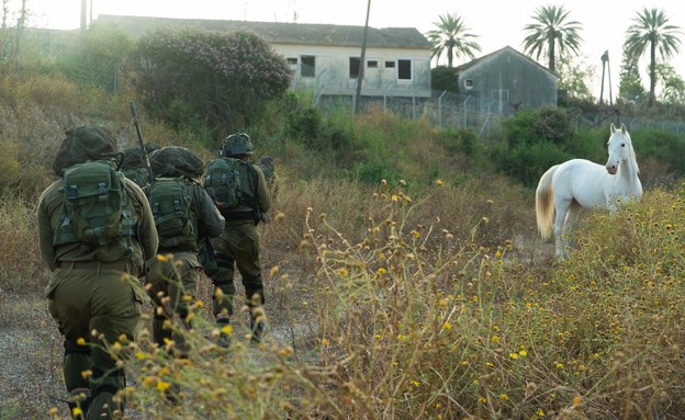 תרגיל פלס"ר 7 וחיל אוויר (צילום: באדיבות גרעיני החיילים)